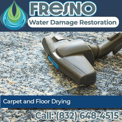 Quick, Efficient Carpet Drying - Your Solution to Water Damage